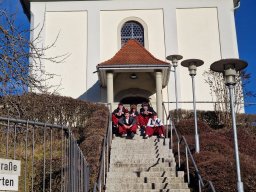 Schwaningen Narrenbaumstellen